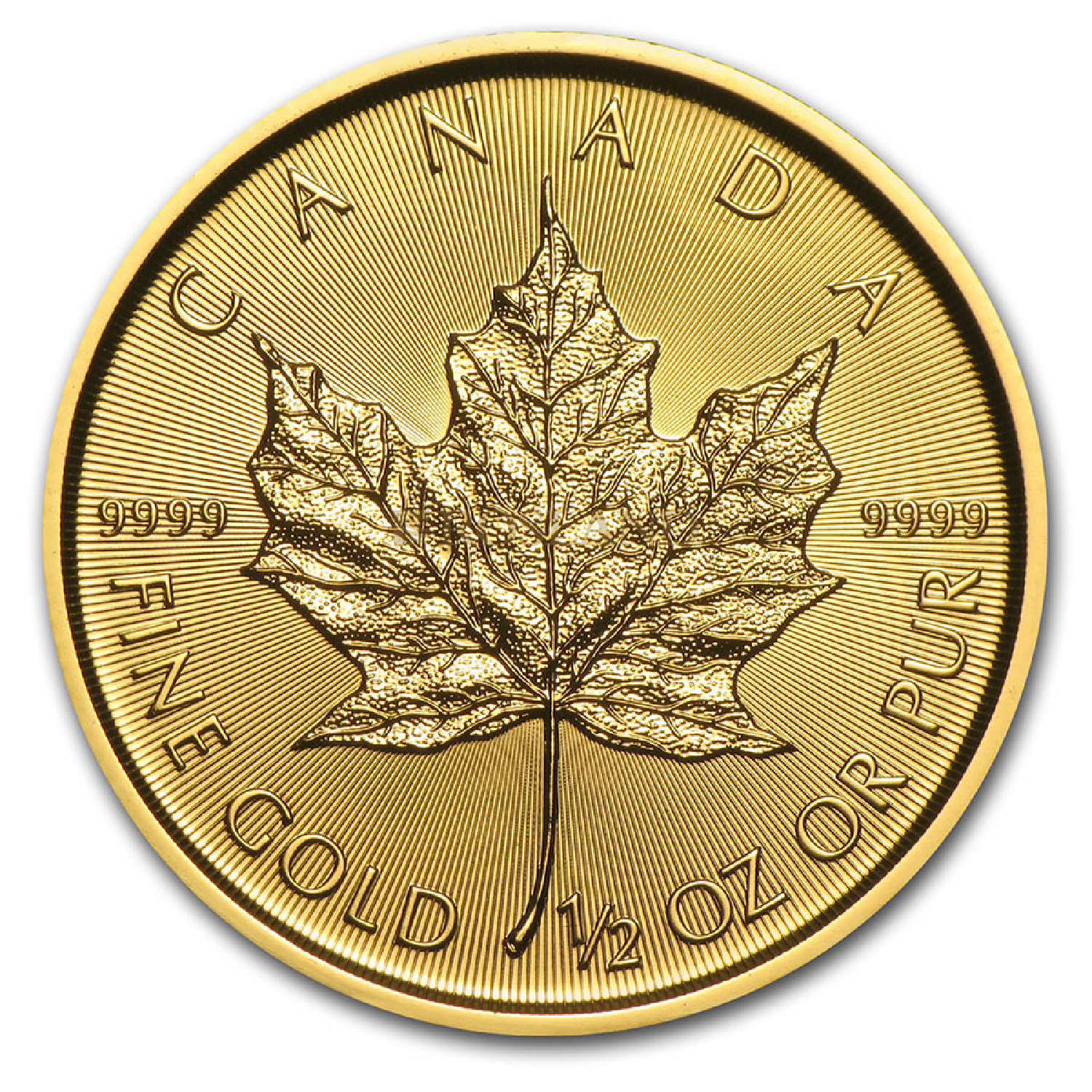 1 2 Unze Goldmünze Kanada Maple Leaf 2021